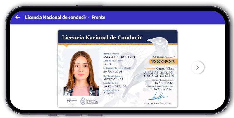 Patente di guida argentina - Licencia de conducir